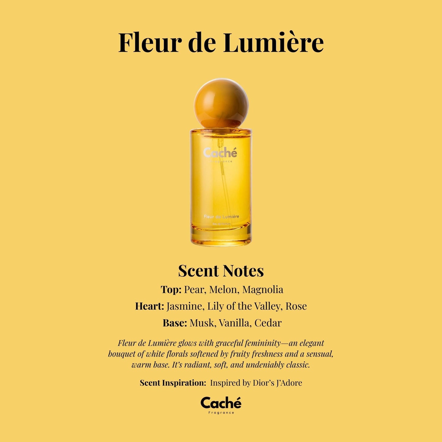 Caché - Fleur de Lumière